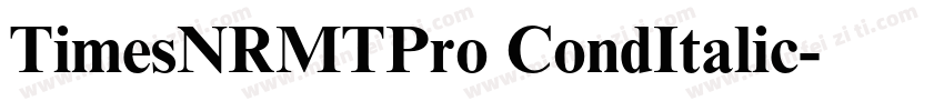 TimesNRMTPro CondItalic字体转换